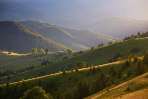 Jak przygotować firmę do audytu środowiskowego: krok po kroku